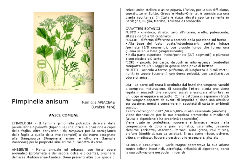 Pimpinella_anisum.pdf