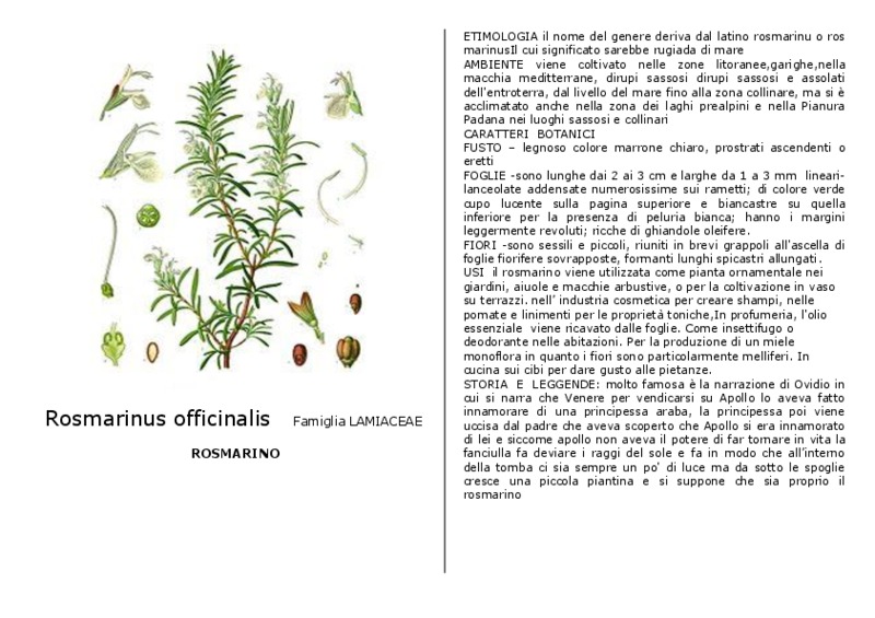 scheda botanica.pdf