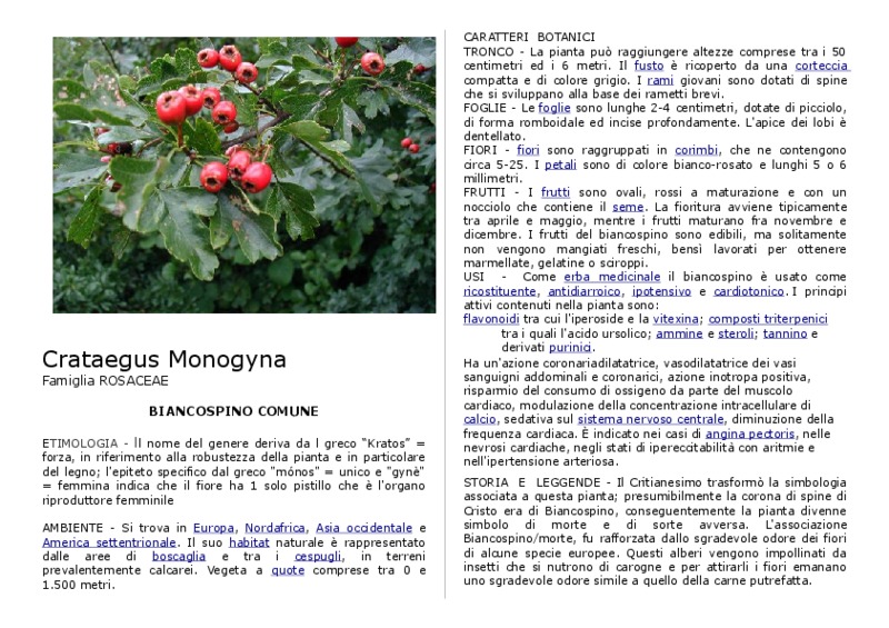 crataegus monogyna.pdf