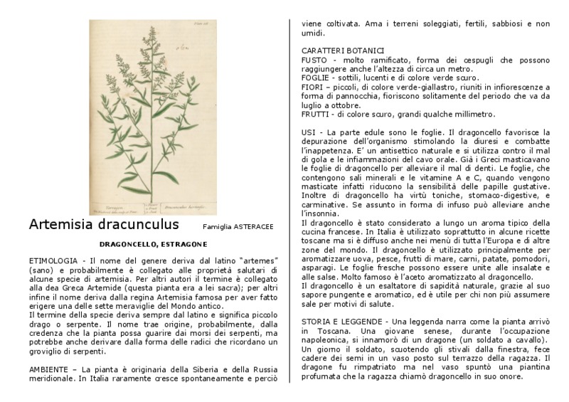 Artemisia_dracunculus.pdf