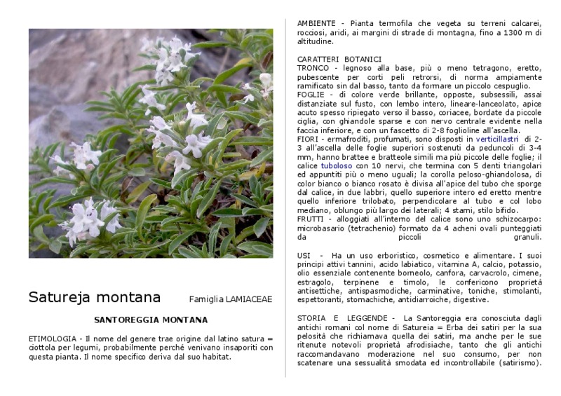 Satureja_montana.pdf