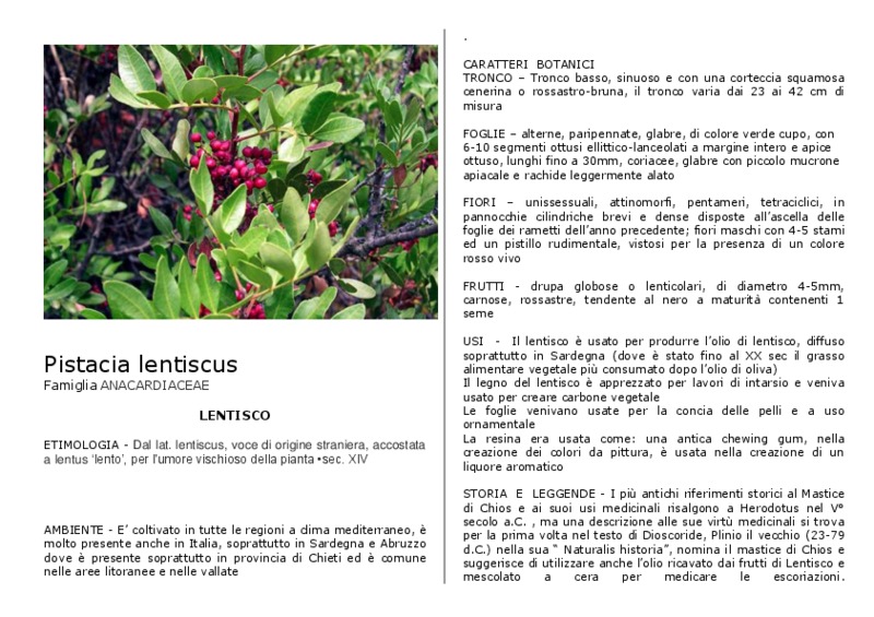 Pistacia_lentiscus.pdf