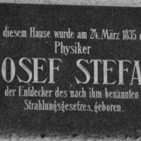 stefan_3.jpg