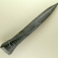 Belemnite_3.jpg