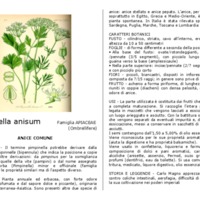 Pimpinella_anisum.pdf