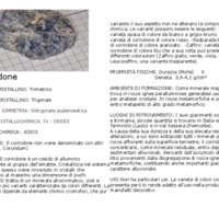 corindone.pdf