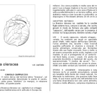 Brassicaoleracea.pdf