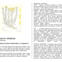 Helichrysum_stoechas.pdf
