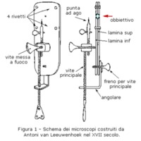 van Leeuwenhoek_4.jpg