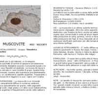 muscovite.pdf