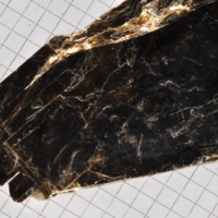 biotite_2.jpg