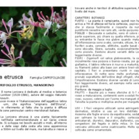 Lonicera_etrusca.pdf