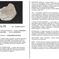 tremolite.pdf