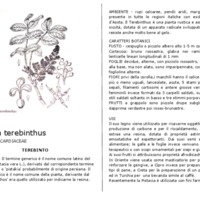 pistacia_terebinthus.pdf