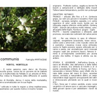 Myrtus_communis.pdf