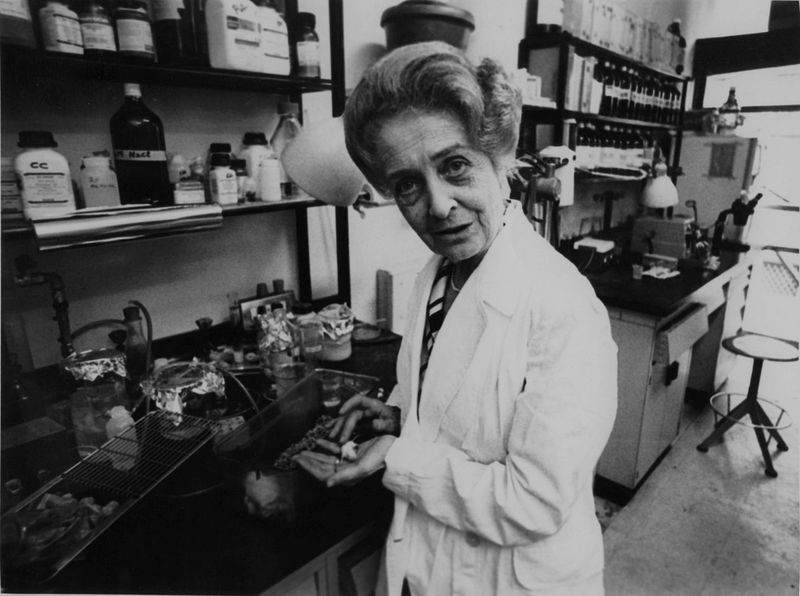 montalcini_3.jpg