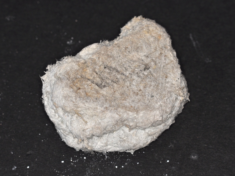 tremolite_1.jpg