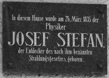 stefan_3.jpg