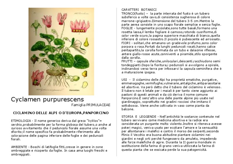 Cyclamen_purpurescens.pdf