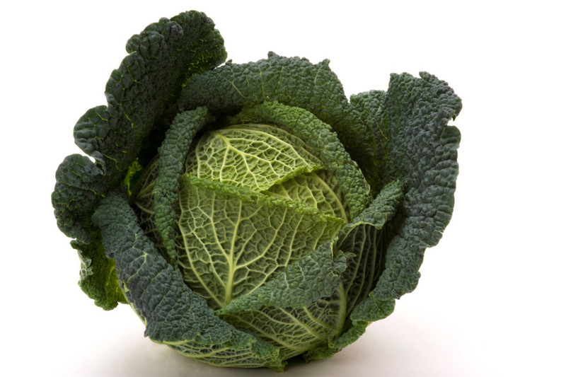Brassica_oleracea_sabauda_1.jpg