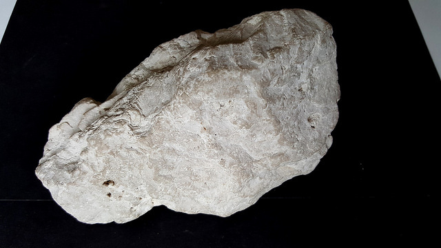 dolomia_2.jpg