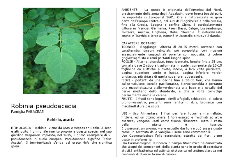 Robinia_pseudoacacia.pdf