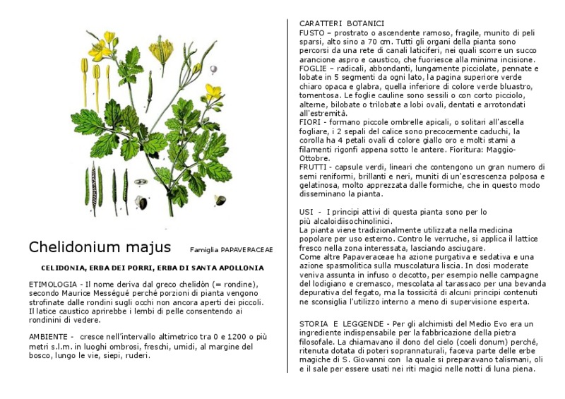 Chelidonium_majus.pdf