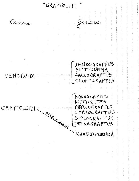 Graptoliti