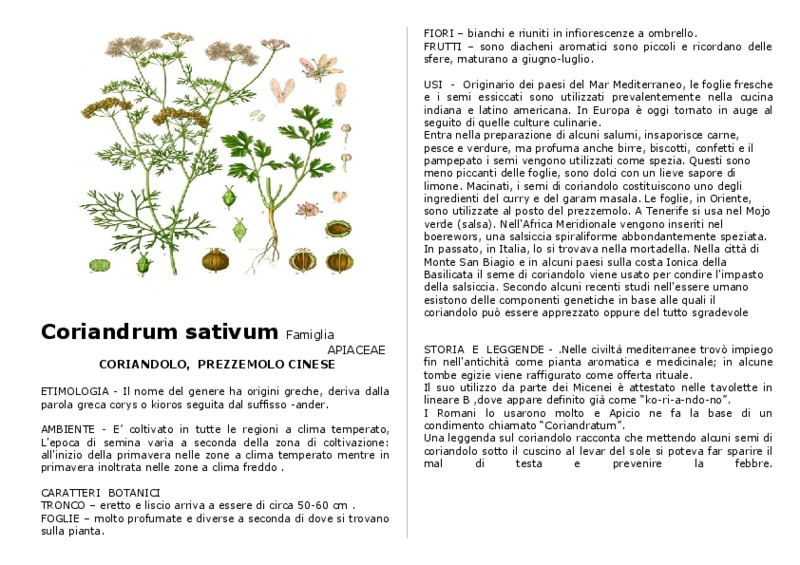 coriandolo.pdf