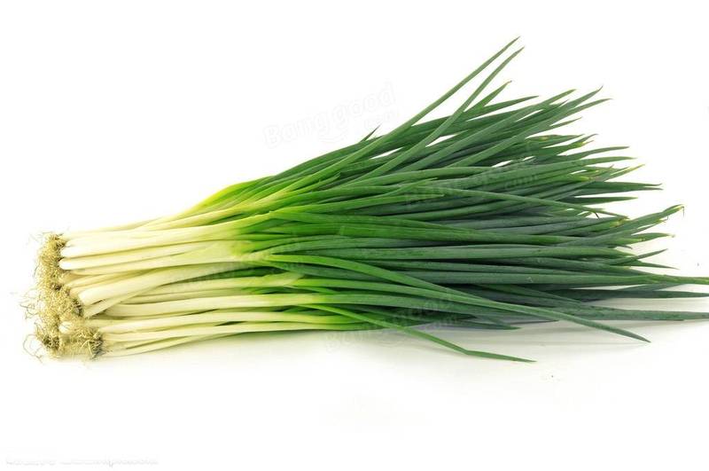 Allium_schoenoprasum_2.jpg