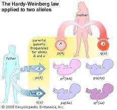 Weinberg_4.jpg
