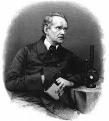 Ritratto di Matthias  Schleiden vicino a un microscopio a simboleggiare la sua ricerca