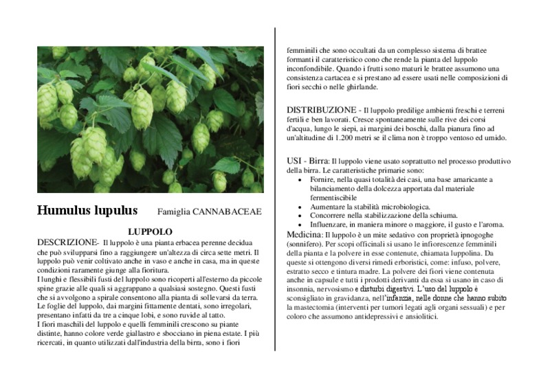 Humulus_lupulus.pdf