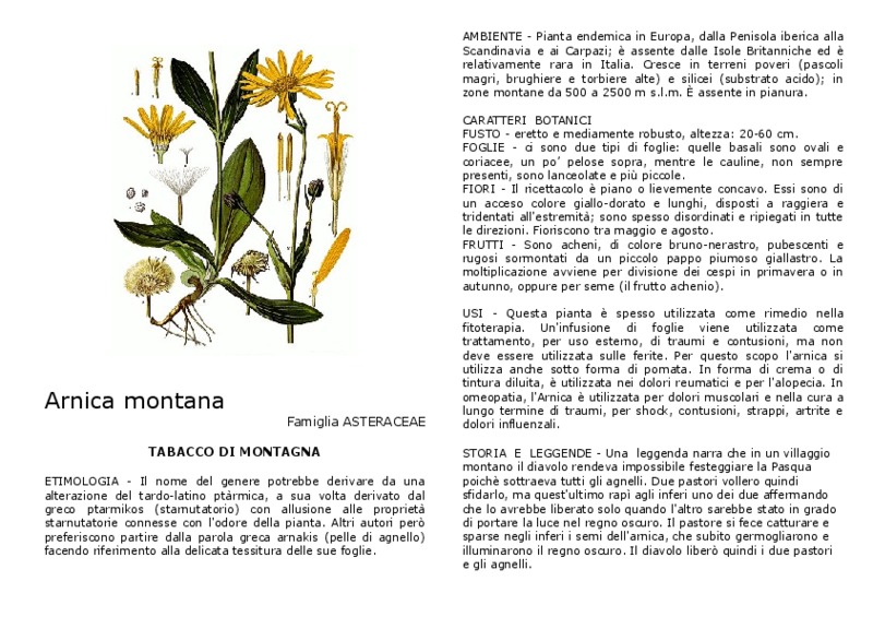 Arnica_montana.pdf