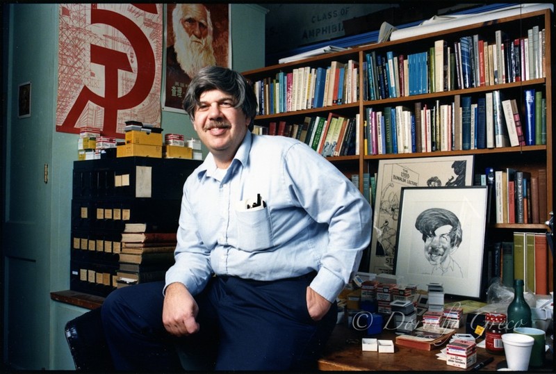 gould_2.jpg