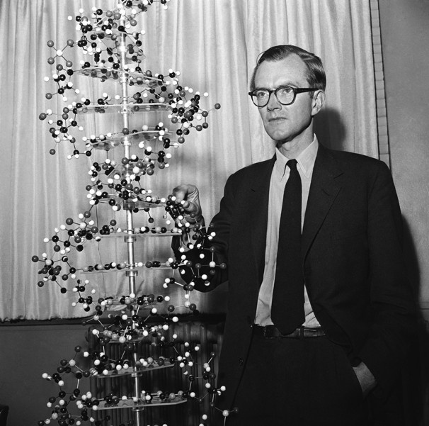 wilkins_2.jpg