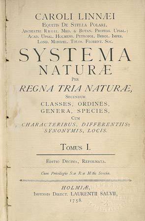 linnaeus_3.jpg