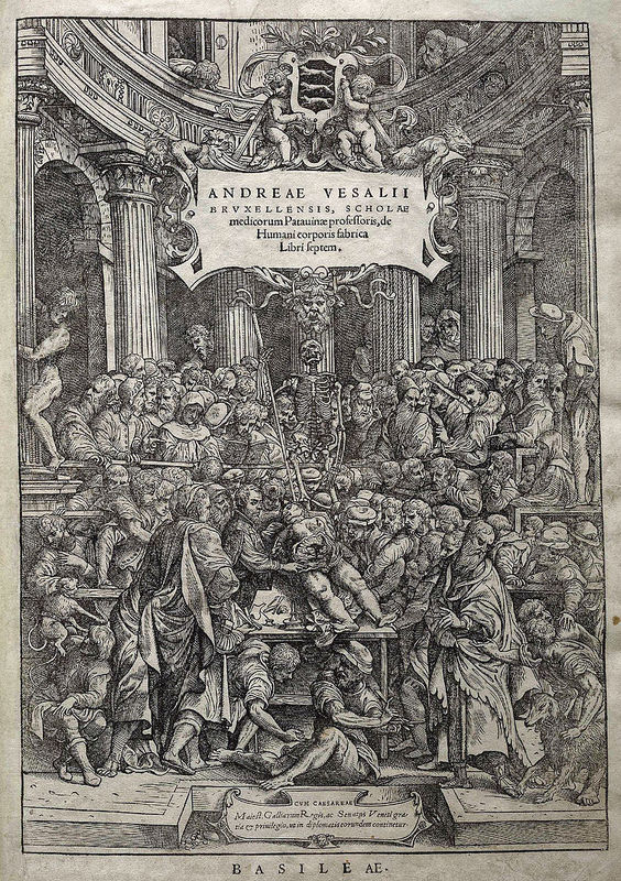 vesalio_1.jpg