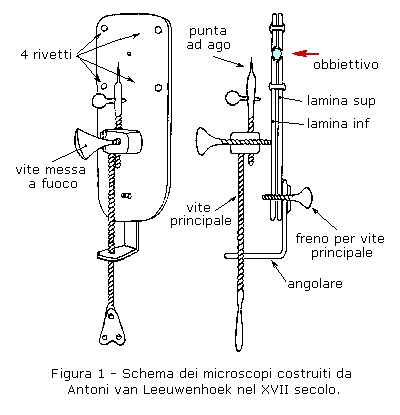 van Leeuwenhoek_4.jpg
