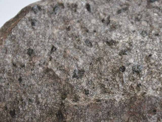 leucotefrite_2.jpg