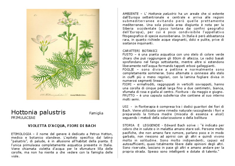hottonia_palustris.pdf