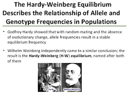 Weinberg_3.png