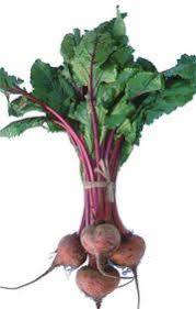 Beta_vulgaris_1.jpg