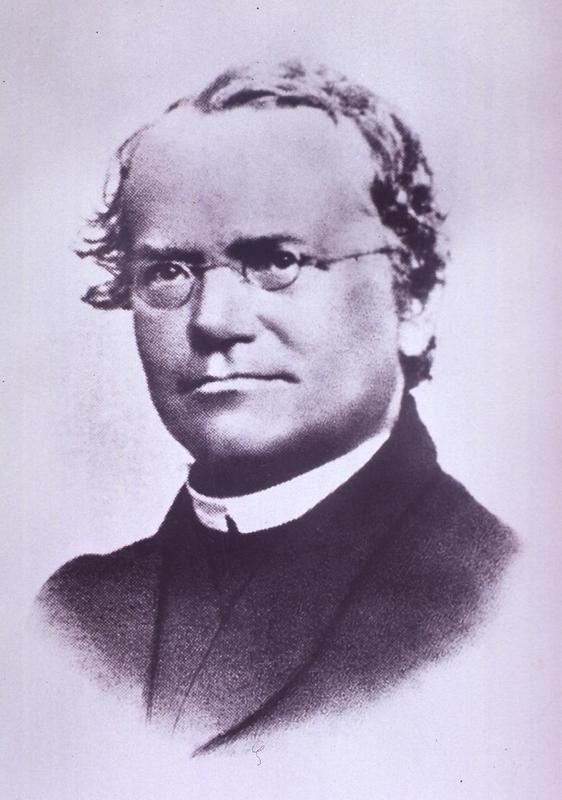 mendel_1.jpg