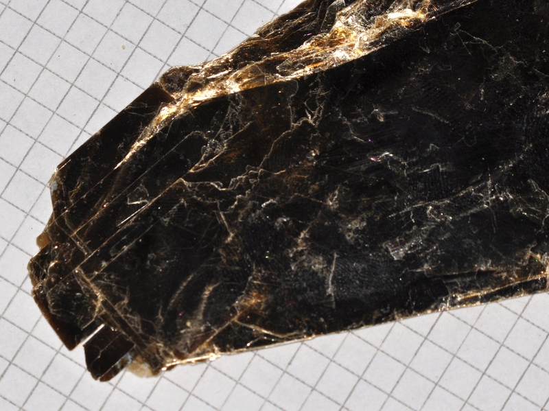 biotite_2.jpg