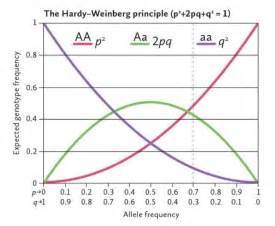weinberg_1.jpg