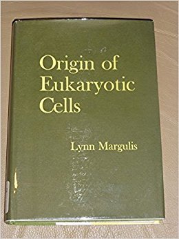 margulis_3.jpg