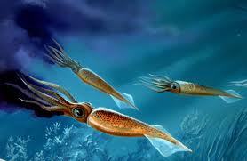 Belemnite_5.jpg