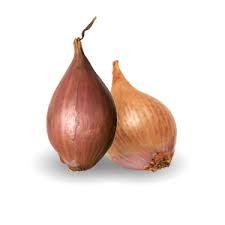 Allium_ascalonicum_3.jpg