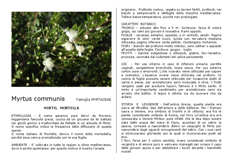 Myrtus_communis.pdf